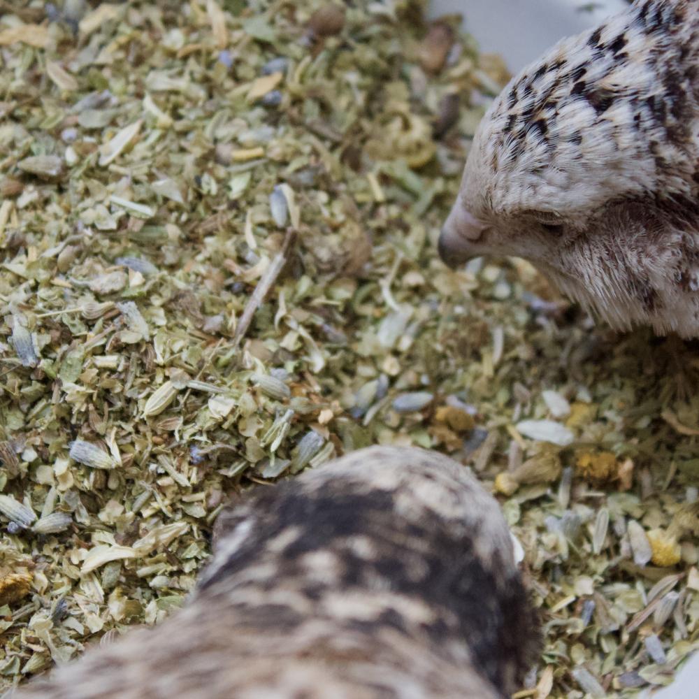 Preview: KÄTHES WOHLFÜHL MIX